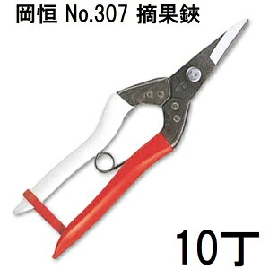 y 10 { Z bg  z P E No.307 uX^[ [ōn| Ԃǂ Ȃ  ʎ ؂ IJcl 돤X] (^[pbNor쓙)@(zm)