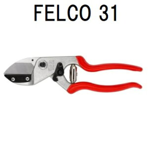 (Ki XCX) tFR31  Ar FELCO31  [FELCOȂ돤X] (䂤pPbg)