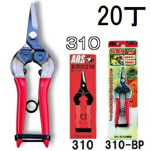 (p20{Zbg) ARS (AX) ̉ Ȑn (n) 310-BP uX^[pbN (zmA60j