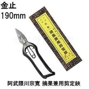 (IYi K) G@ No.505 Eʌp  ~ 190mm () c {M ({ G@nH) (lR|X s) (zmB1)