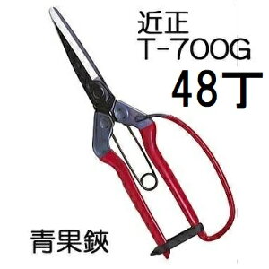 (48���Z�b�g�����) (�W���) �ߐ� ���� �K�[�h�t T-700G ���|�� �{�E���|�͂��� �`�J�}�T�@(zmA21)