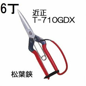 (���p6���Z�b�g) �ߐ� ���t�� �K�[�h�t T-710GDX �`�J�}�T (�l�R�|�X2��)�@(zmA70)