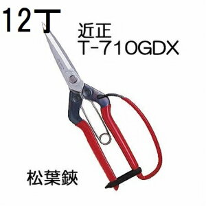 (12���Z�b�g����) �ߐ� ���t�� �K�[�h�t T-710GDX �`�J�}�T (zmA70)