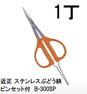 ߐ XeXԂǂEsZbgt B-300SP (BP) ԂǂnT~ `J}T@(zmA70)