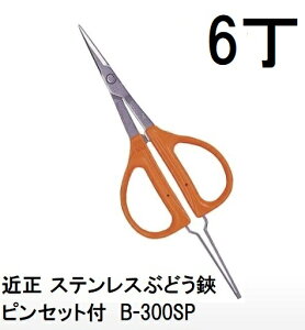 (p6Zbg) ߐ XeXԂǂEsZbgt B-300SP (BP) `J}T ԂǂnT~ (^[pbNor)@(zmA70)