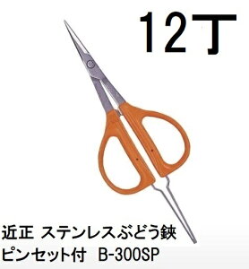 (12Zbg) ߐ XeXԂǂEsZbgt B-300SP (BP) `J}T ԂǂnT~@(zmA70)