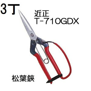 (3���Z�b�g) �ߐ� ���t�� �K�[�h�t T-710GDX �`�J�}�T (�l�R�|�X)�@(zmA70)