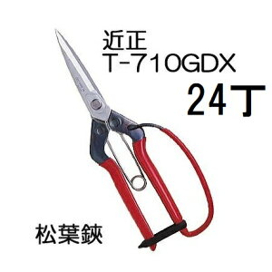 (24���Z�b�g�����) �ߐ� ���t�� �K�[�h�t T-710GDX �`�J�}�T (zmA70)