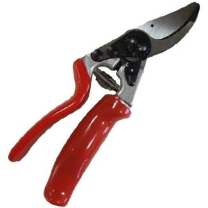 (Ki XCX) tFR10  FELCO10 ypz [FELCO 돤X] (^[pbN)