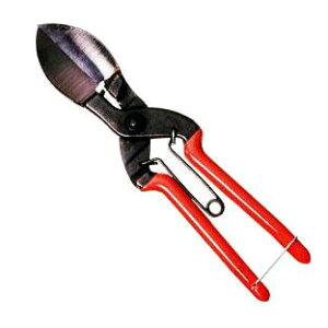zKc ڂn ڂ 210mm (ڂ J{` Z X_) ([) (zm)ɂɂ jjN f