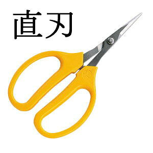 ARS (AX) Ԃǂ fbNX n (ܓ) 320DX-T ([)@haya (zmA11j