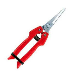 nnT~ ARS (AX) K[fjO SE-45 (䂤pPbg)