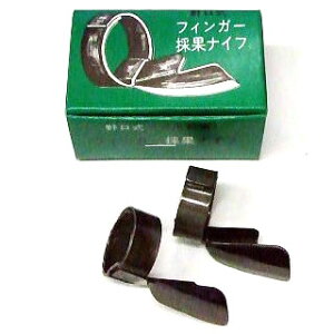  iCt tBK[̉ʃiCt 2 tBK[iCt ([ s) nogu@(zmB1)