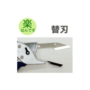 yȂł TS181  ֐n (ؐn{n) ݂⑺ (䂤pPbg)@coim@(zm)