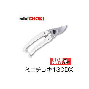 ARS (AX)  ~j`LfbNX 130DX (~j`L fbNX) yʏ^ ([֓)@(zmA60j