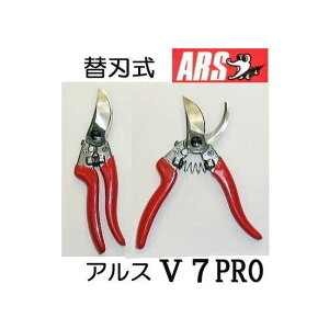 (p5Zbg) ARS (AX)  V-7PRO uCZuv 172mm 1 ֐n@(zmA60j
