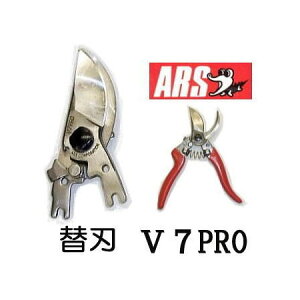(p5Zbg) ARS (AX)  ֐n V-7PROp uCZuv V-7PRO-1@(zmA60j