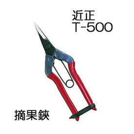近正 チカマサ 摘果鋏 T-500 (zmA70)