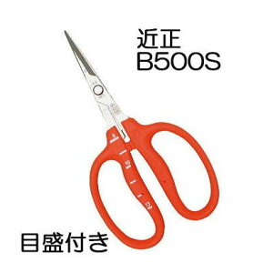 (uX^[pbN) ߐ XeX Ԃǂ B-500S S^ (n) ڐt Ԃǂ `J}T (lR|X)@(zmA70)