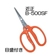 (ブリスターパック) 近正 ぶどう鋏 B-500SF ステンレス フッソ加工 チカマサ ぶどう手入れ鋏 目盛付き 　…