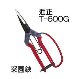 近正 チカマサ 菜園鋏 (采園鋏) T-600G ガード付き　(zmA70)