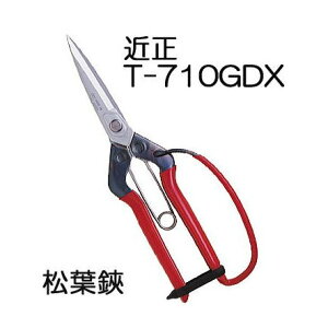 �ߐ� ���t�� �K�[�h�t T-710GDX �`�J�}�T�@(zmA70)