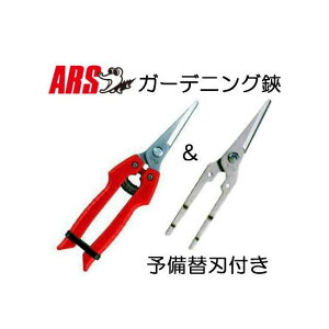 (2_Zbg) nnT~ ARS AX (K[fjO SE-45  \̑֐n SE45-1)tZbg