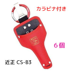 (6Zbg) ߐ P[X CS-B3 Jrit | _ Ԃǂp `J}T