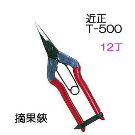 (12丁セット特価) 近正 チカマサ 摘果鋏 T-500　(zmA21)