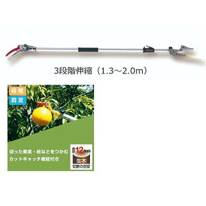 ARS AX Lk} Y[`L`gR ̎^Cv V[g2.0 t 160ZTR-2.0-3D 1.3`2m ʎ  haya