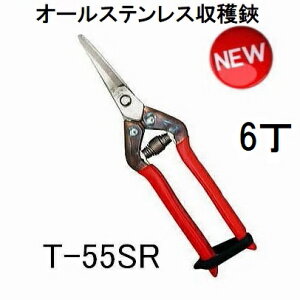 (���p6���Z�b�g) �ߐ� �{�E�p�X�e�����X ���n�� �Ȑn T-55SR �`�J�}�T (�l�R�|�X2��)�@(zmA70)