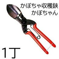諏訪田 かぼちゃ収穫鋏 かぼちゃん 210mm (かぼちゃ鋏 カボチャ鋏 南瓜鋏 スワダ) (ネコポス) (zm) にん…