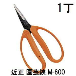 ߐ | M-600 ^E `J}T ([or쓙) (zmA70)