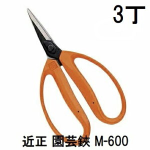 (3Zbg) ߐ | M-600 ^E `J}T (^[pbNor쓙) (zmA70)