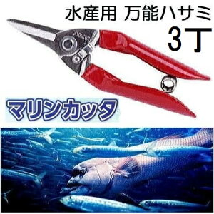 (3Zbg) MCC }Jb^ MRC-170 Yp\ ^ Yp\nT~ ([֓)@(zmC4)