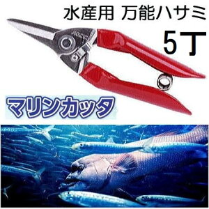 (p5Zbg) MCC }Jb^ MRC-170 Yp\ ^ Yp\nT~ (䂤pPbg)