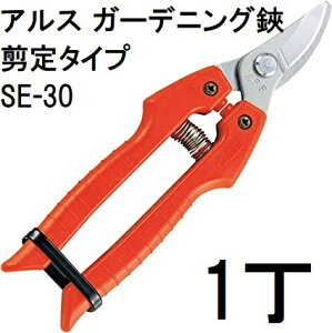 ARS (AX) K[fjO SE-30 ^Cv@(zmA11j