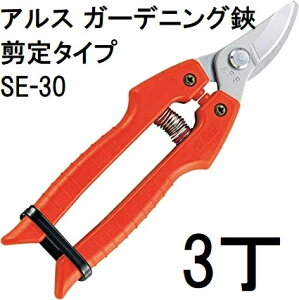 (3Zbg) ARS (AX) K[fjO SE-30 ^Cv (䂤pPbg)@(zmA11j