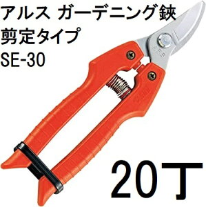 (p20{Zbg) ARS (AX) K[fjO SE-30 ^Cv@(zmA11j