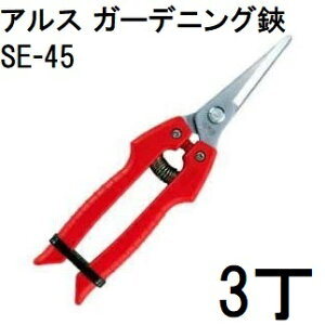 (3Zbg) nnT~ ARS (AX) K[fjO SE-45 (䂤pPbg)@zm