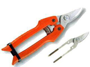 (2点セット特価) 収穫ハサミ ARS アルス (ガーデニング鋏 SE-30 と 予備の替刃 SE-30-1) 付きセット (メール便等) (zmA11)