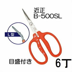 (p6Zbg) (W) ߐ XeX Ԃǂ B-500SL L^ (Ȃn) ڐt Ԃǂ `J}T (䂤pPbg)@(zmA70)