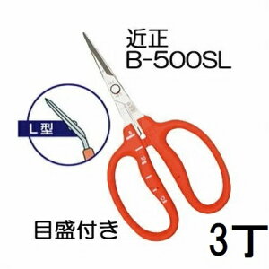 (3{Zbg) (uX^[pbN) ߐ XeX Ԃǂ B-500SL L^ (Ȃn) ڐt Ԃǂ `J}T (䂤pPbg)@(zmA70)