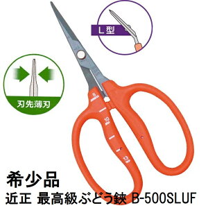 (ō 󏭕i) ߐ Ԃǂ B-500SLUF L^ Ȑn XeXEtbfH n攖n Ԃǂ ڐt `J}T (lR|X)