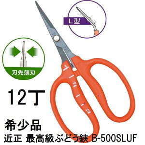 (12Zbg) (ō 󏭕i) ߐ Ԃǂ B-500SLUF L^ Ȑn XeXEtbfH n攖n Ԃǂ ڐt `J}T (䂤pPbg)