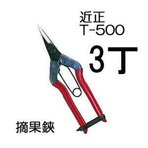 (3���Z�b�g) (�W���) �ߐ� �E���� T-500 �`�J�}�T (�䂤�p�P�b�g)�@(zmA21)