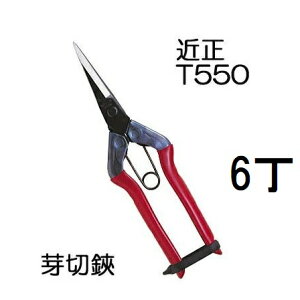 (p6Zbg) (W) ߐ  T-550 `J}T | {E|͂ (䂤pPbg) (zmA70)