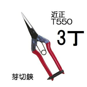 (3Zbg) (W) ߐ  T-550 `J}T | {E|͂ (䂤pPbg) (zmA70)