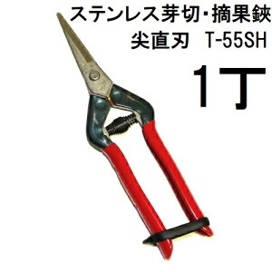 �ߐ� �{�E���|�p �X�e�����X ����� �E���� T-55SH �`�J�}�T (�l�R�|�X)�@(zmA70)