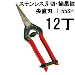 (12���Z�b�g����) �ߐ� �{�E���|�p �X�e�����X ����� �E���� T-55SH �`�J�}�T�@(zmA70)